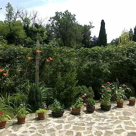 Hotel Rino 3*